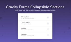 Gravity Forms Expandable Sections 1.3.0