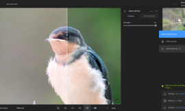 Topaz Photo AI: AI-Powered Photo Enhancement for Professionals
