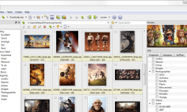 XnViewMP: Smart Media Organizer and High-Speed File Converter